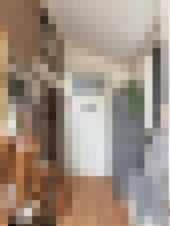 Nieuwe Dijk 15 A Coevorden thumbnail 17