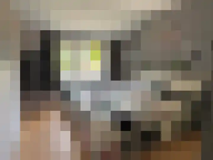 Nieuwe Dijk 15 A Coevorden thumbnail 24