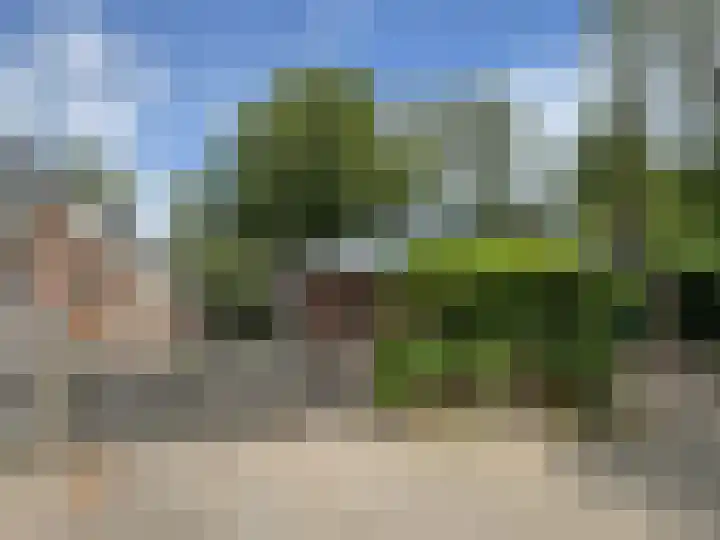 Nieuwe Dijk 15 A Coevorden thumbnail 29