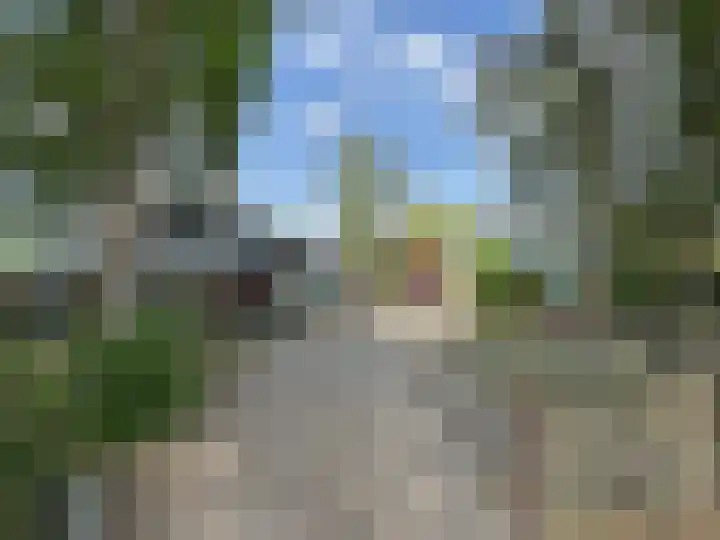 Nieuwe Dijk 15 A Coevorden thumbnail 40
