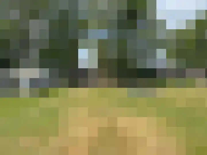 Nieuwe Dijk 15 A Coevorden thumbnail 41