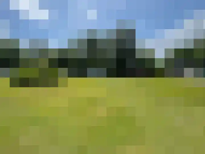 Nieuwe Dijk 15 A Coevorden thumbnail 42