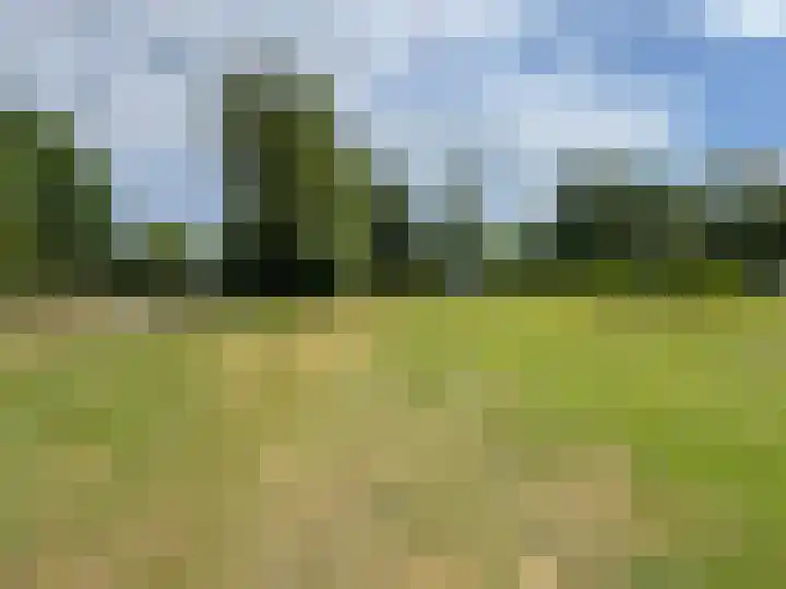 Nieuwe Dijk 15 A Coevorden thumbnail 43