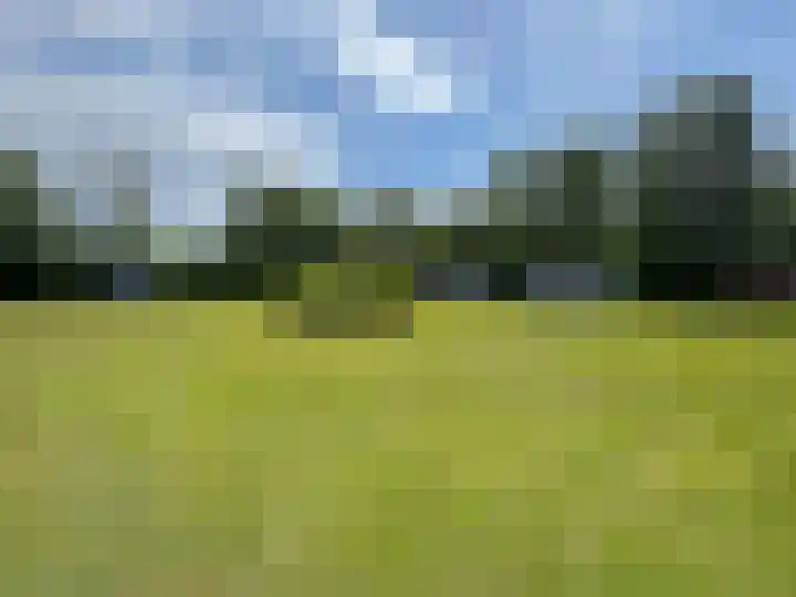 Nieuwe Dijk 15 A Coevorden thumbnail 44
