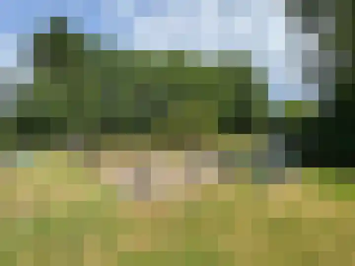 Nieuwe Dijk 15 A Coevorden thumbnail 45