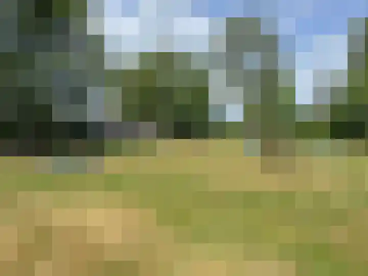 Nieuwe Dijk 15 A Coevorden thumbnail 46
