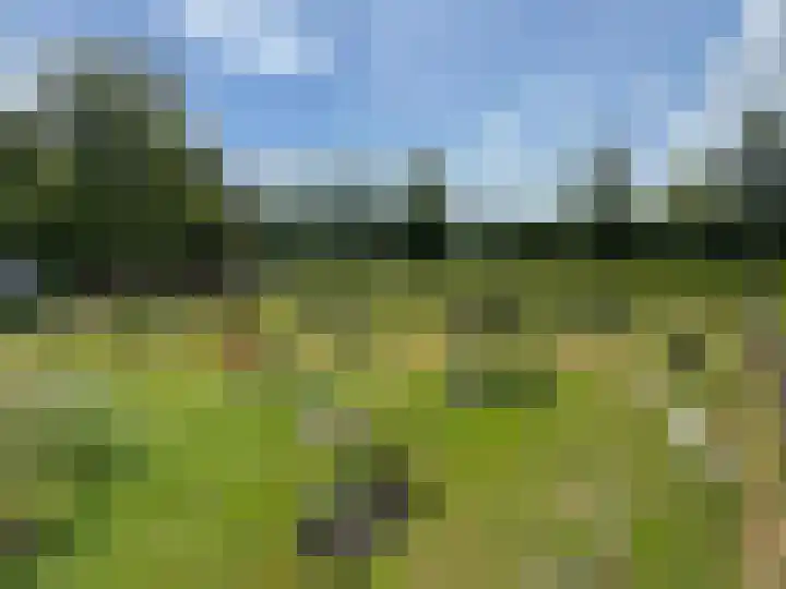 Nieuwe Dijk 15 A Coevorden thumbnail 48