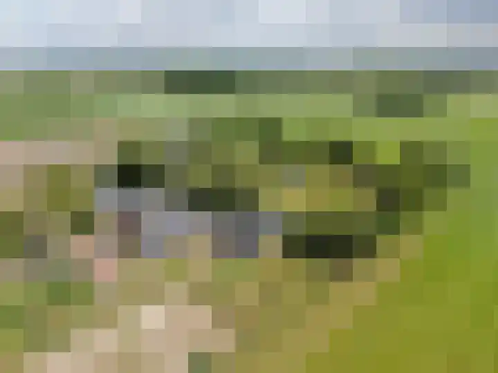 Nieuwe Dijk 15 A Coevorden thumbnail 56