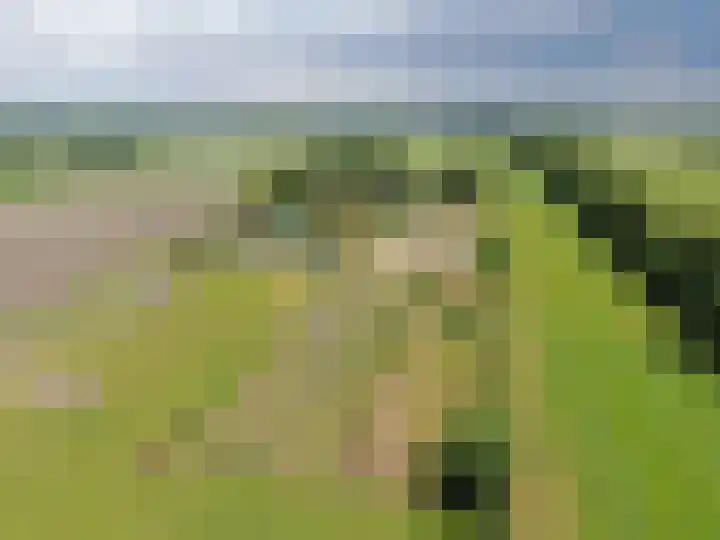 Nieuwe Dijk 15 A Coevorden thumbnail 6