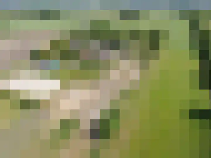Nieuwe Dijk 15 A Coevorden thumbnail 7