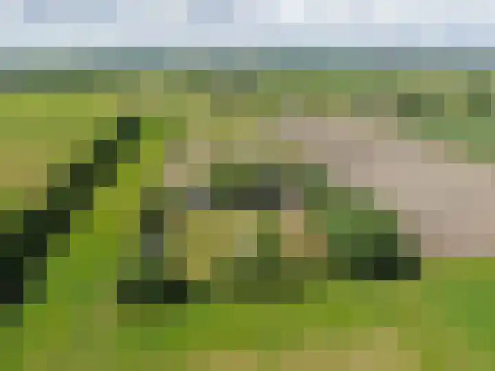 Nieuwe Dijk 15 A Coevorden thumbnail 8