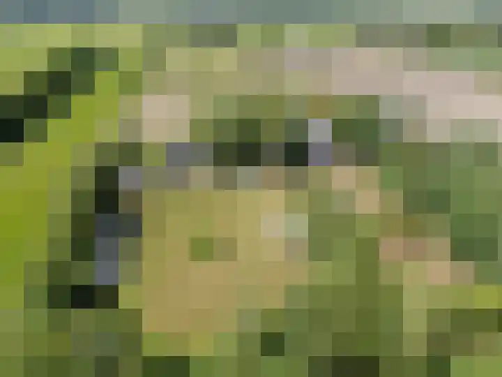 Nieuwe Dijk 15 A Coevorden thumbnail 9