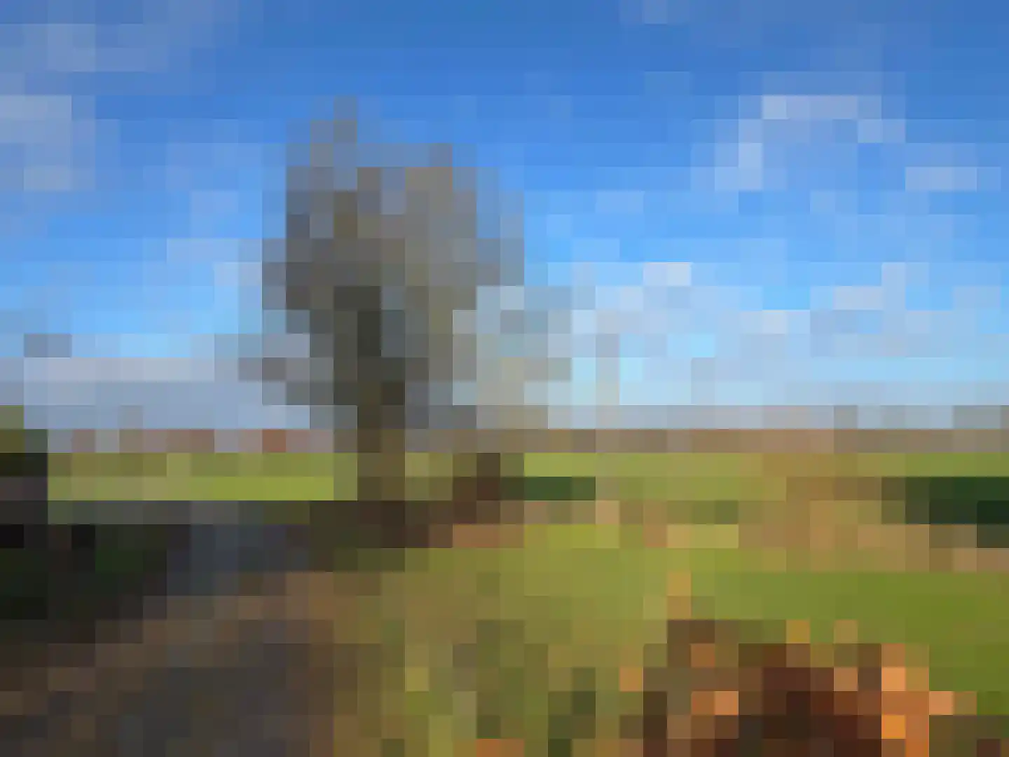 Nieuwe Dijk 15 Coevorden thumbnail 11