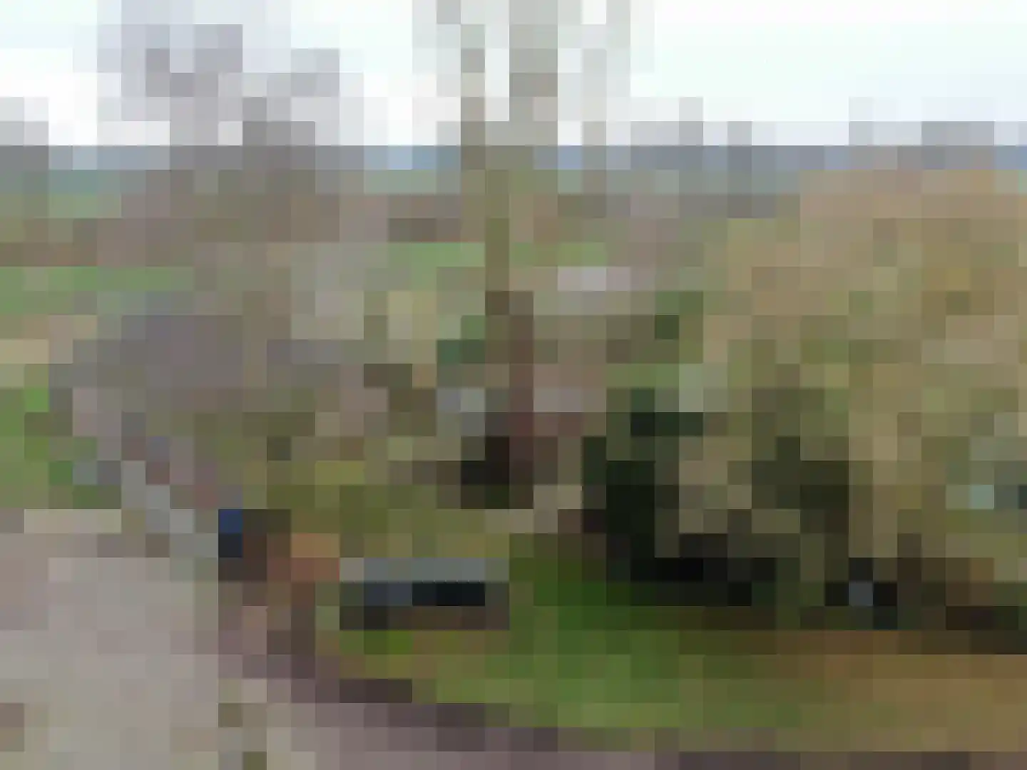 Nieuwe Dijk 15 Coevorden thumbnail 19