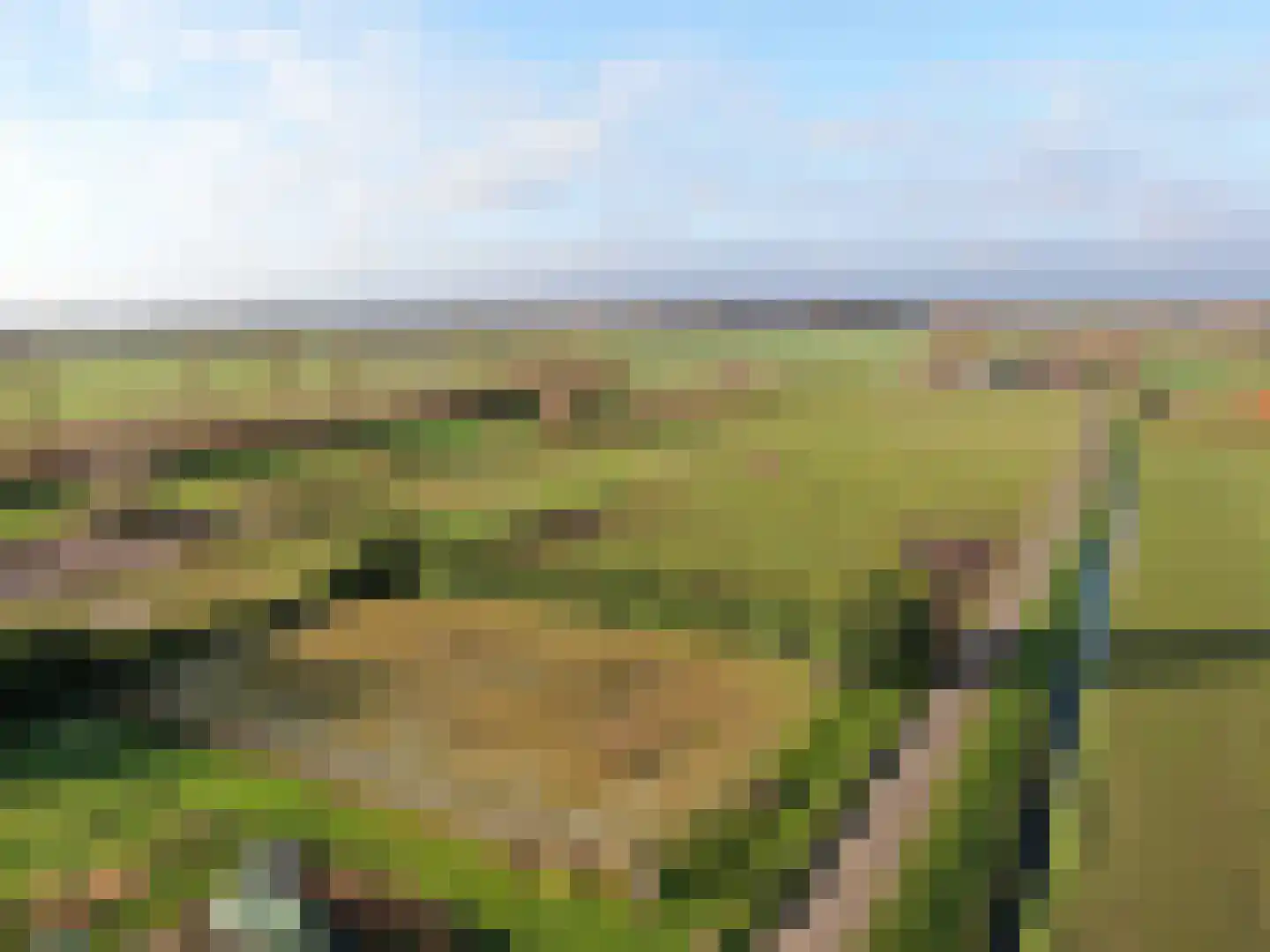 Nieuwe Dijk 15 Coevorden thumbnail 20