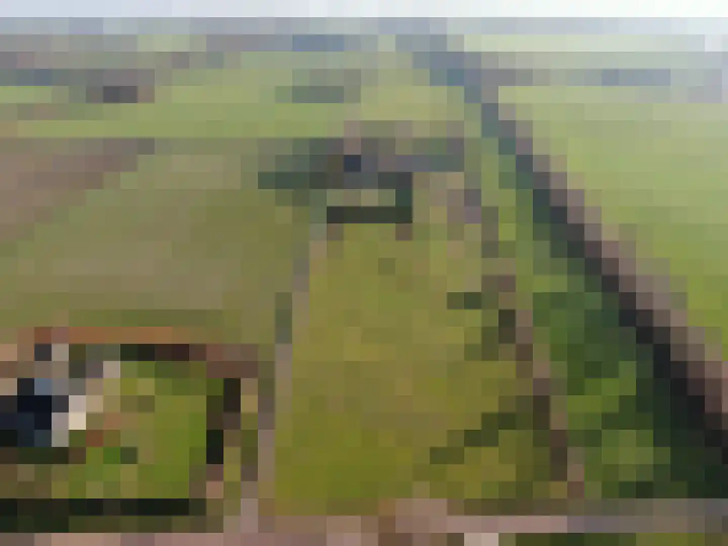 Nieuwe Dijk 15 Coevorden thumbnail 21