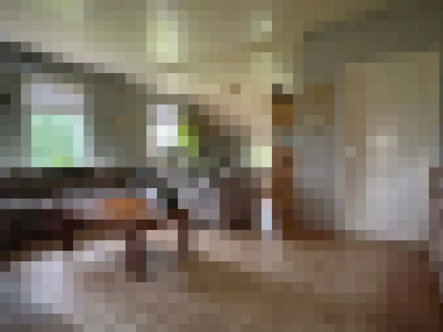 Nieuwe Dijk 15 Coevorden thumbnail 22
