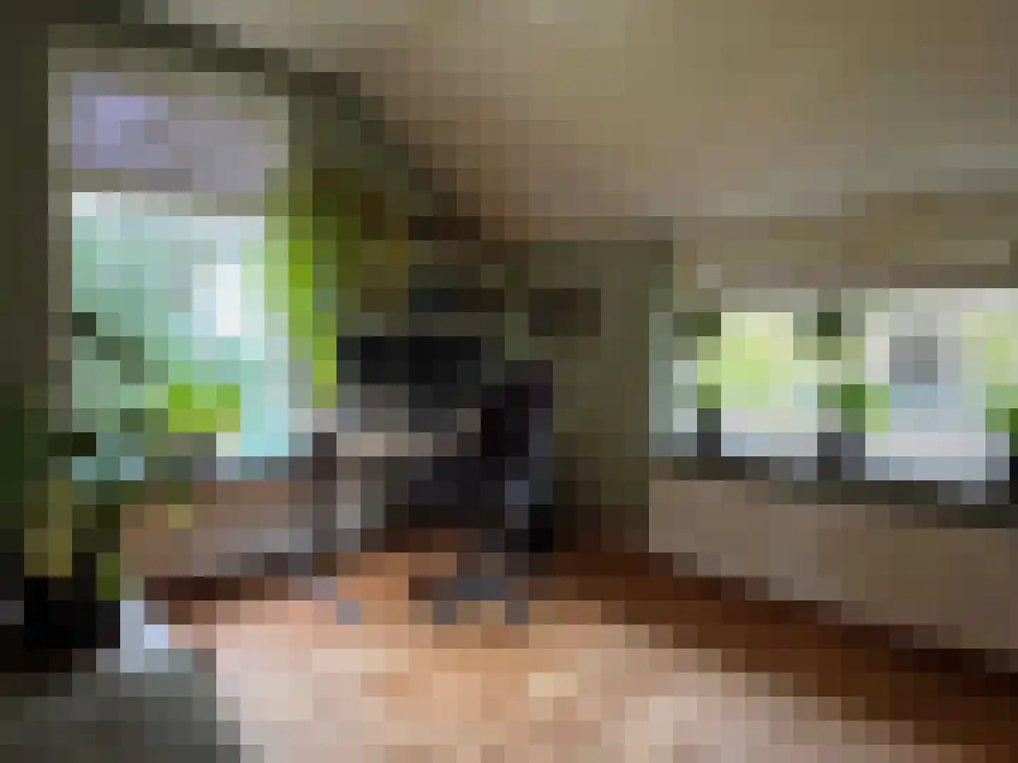 Nieuwe Dijk 15 Coevorden thumbnail 23