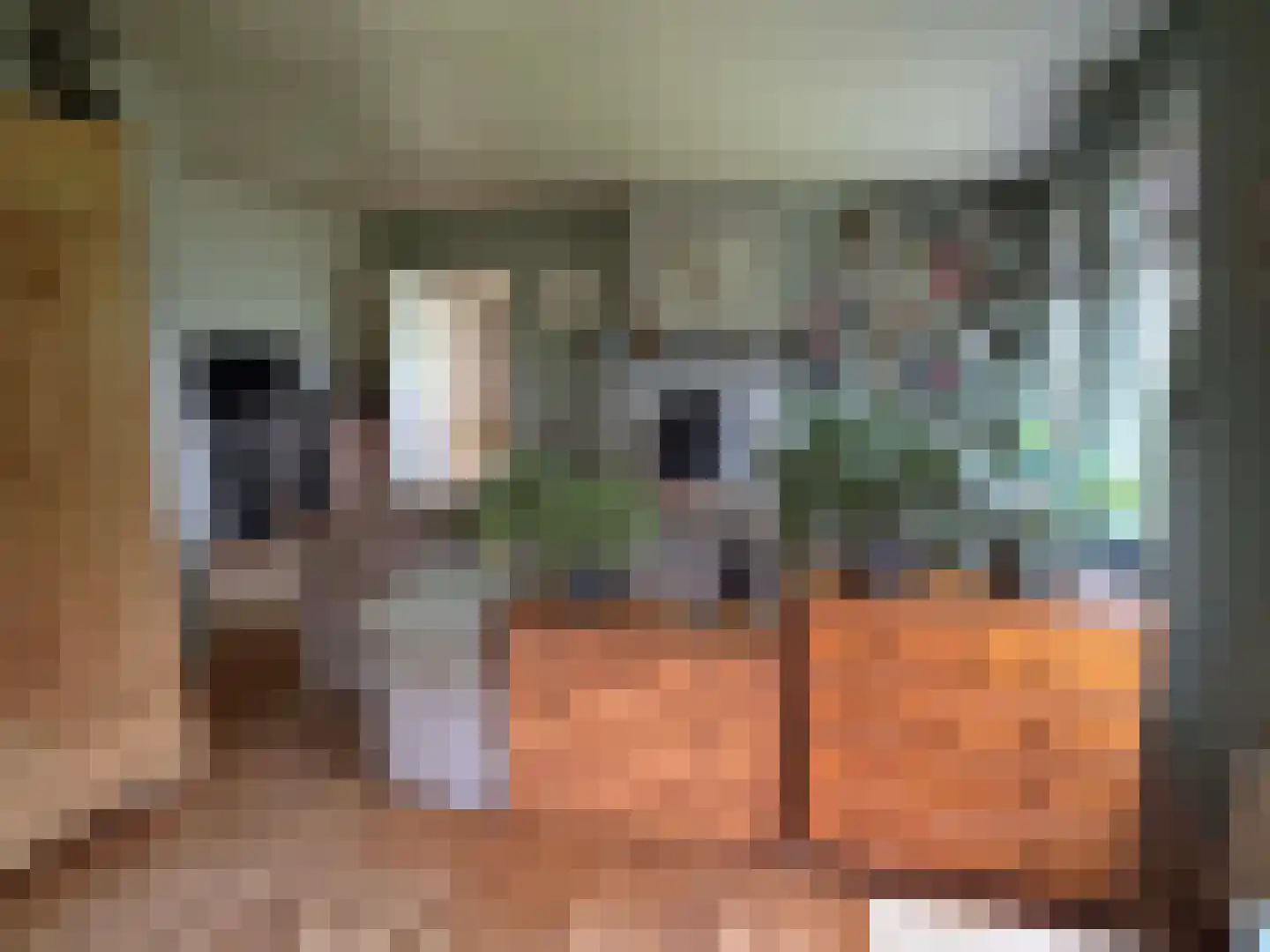 Nieuwe Dijk 15 Coevorden thumbnail 24