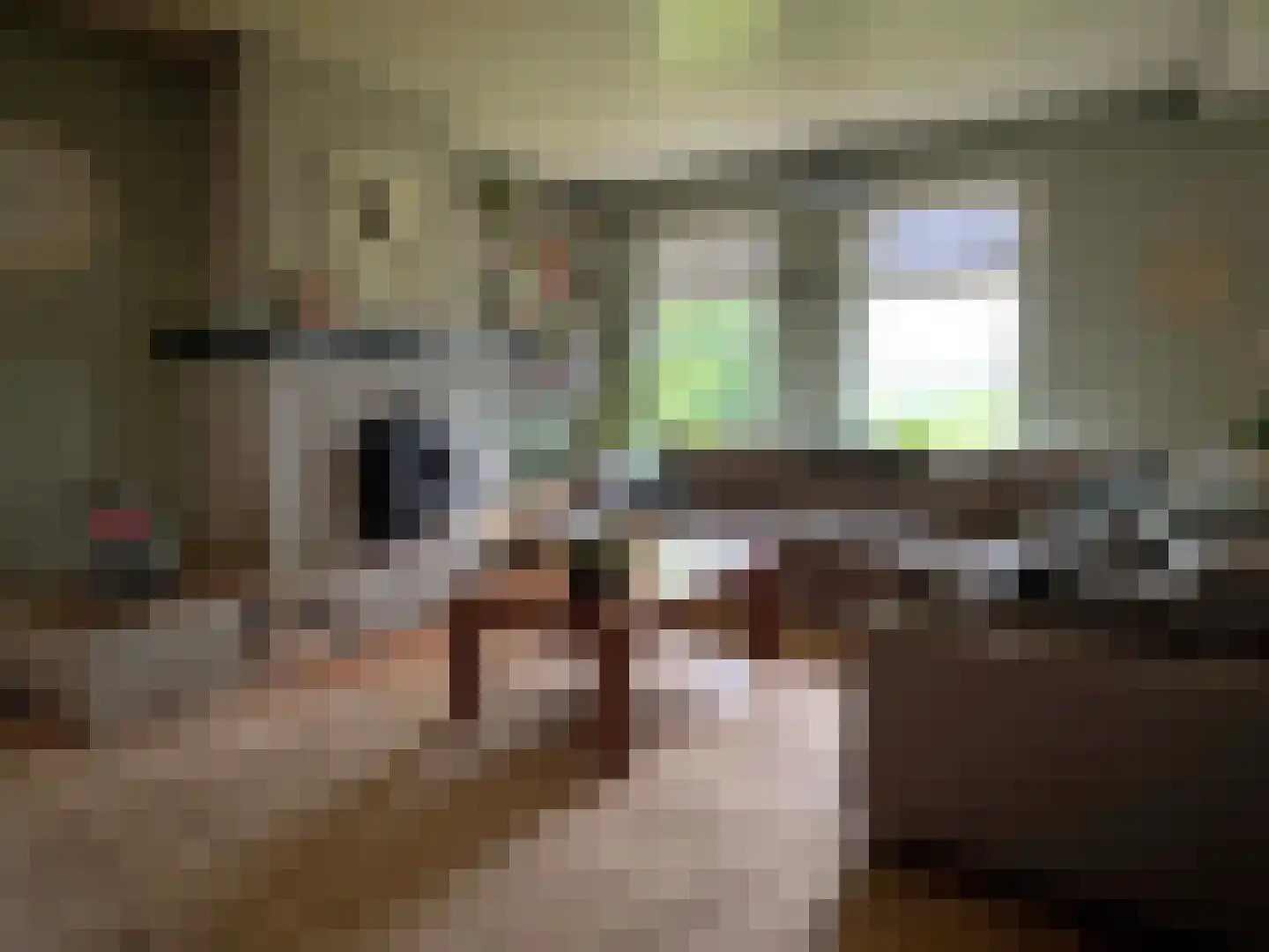 Nieuwe Dijk 15 Coevorden thumbnail 25