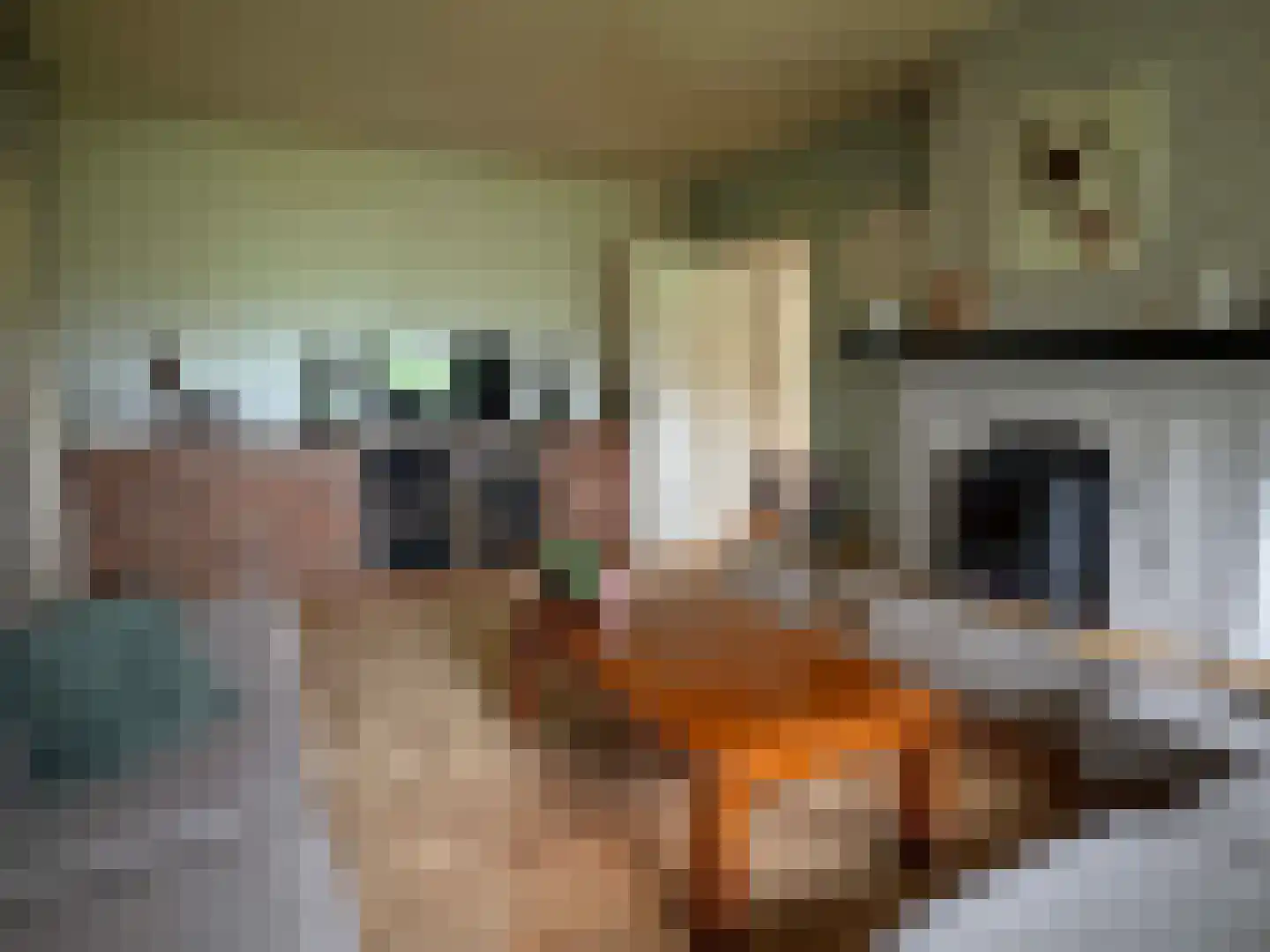 Nieuwe Dijk 15 Coevorden thumbnail 27