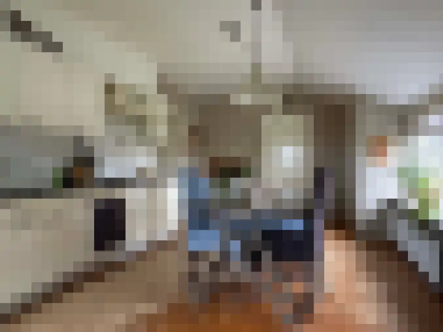 Nieuwe Dijk 15 Coevorden thumbnail 29