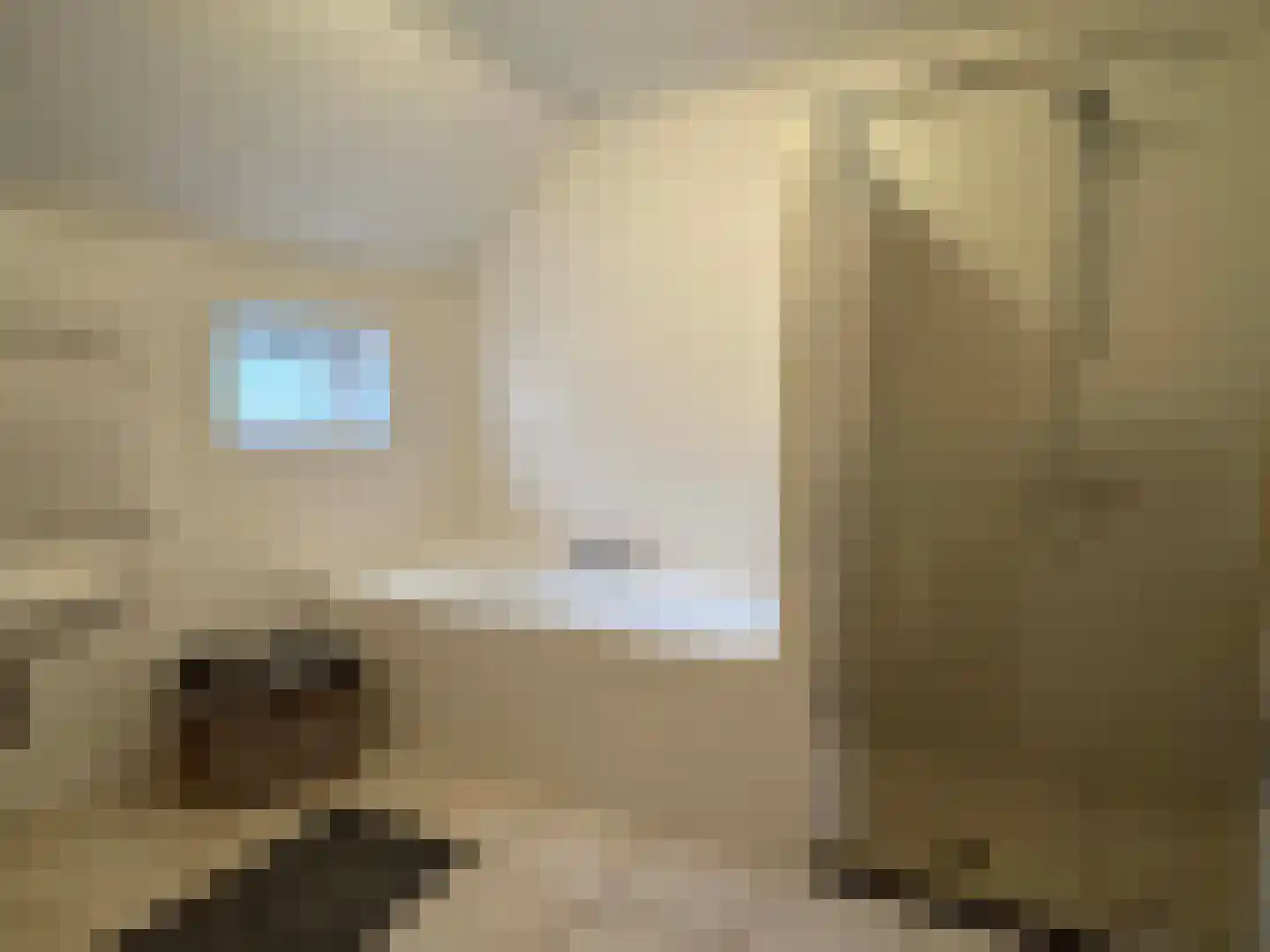 Nieuwe Dijk 15 Coevorden thumbnail 31