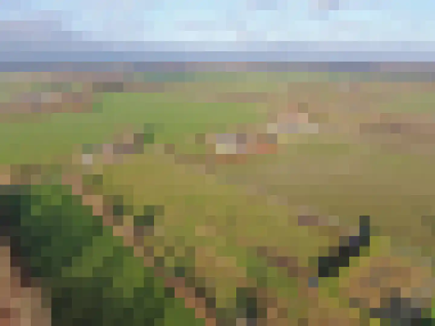 Nieuwe Dijk 15 Coevorden thumbnail 41