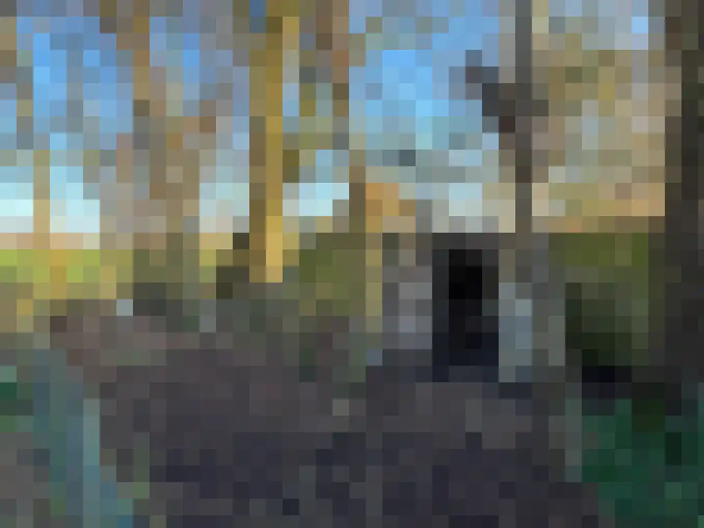 Nieuwe Dijk 15 Coevorden thumbnail 8