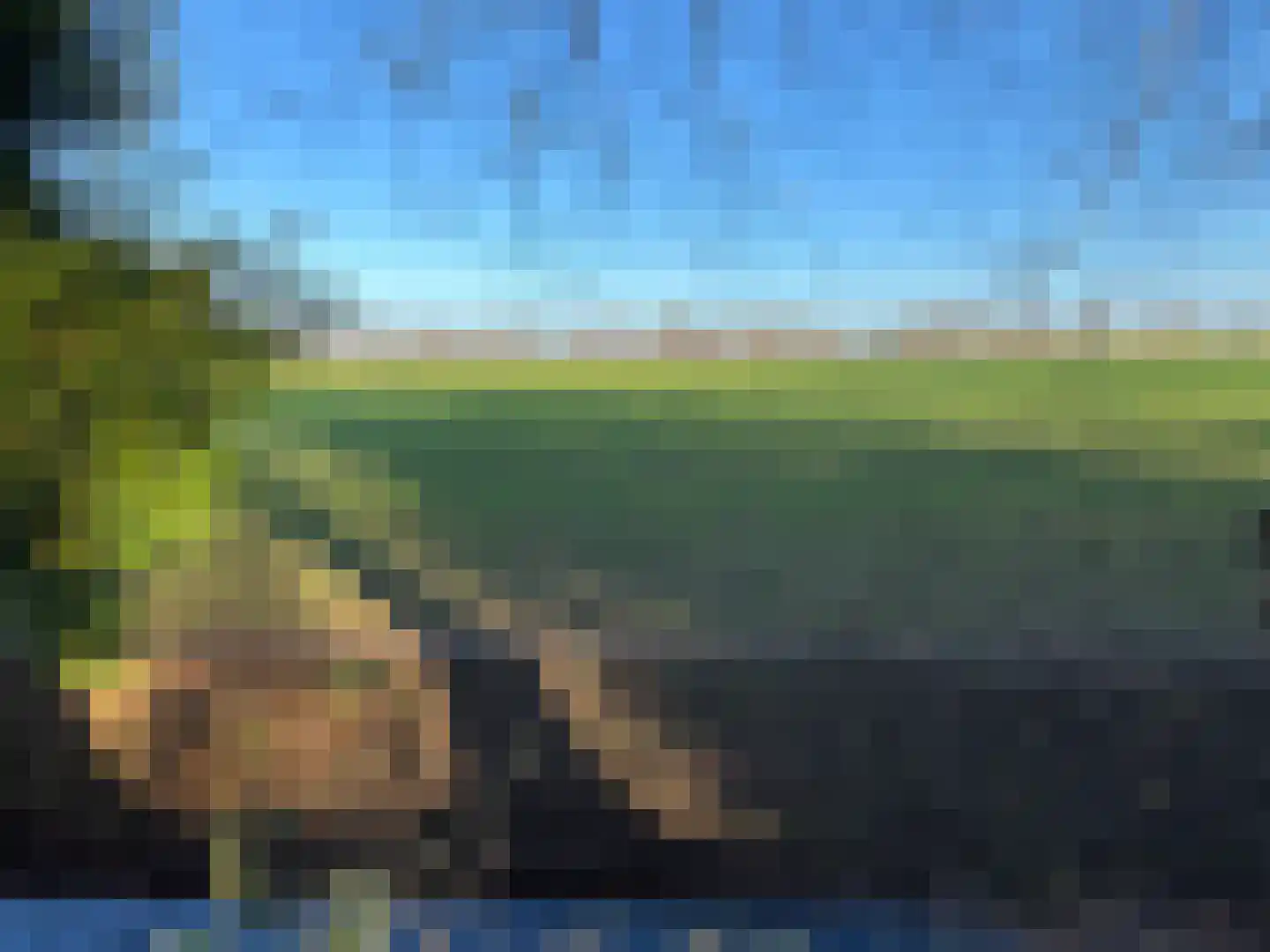 Nieuwe Dijk 15 Coevorden thumbnail 9