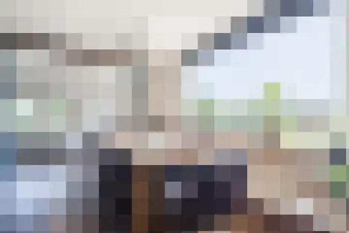 Nieuwe Dijk 4 Zuidwolde thumbnail 10
