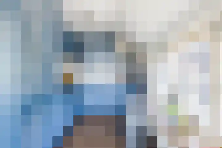 Nieuwe Dijk 4 Zuidwolde thumbnail 12