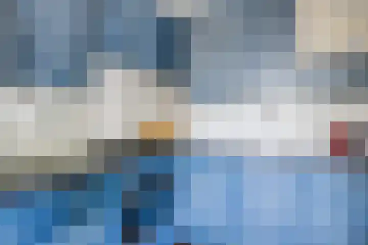 Nieuwe Dijk 4 Zuidwolde thumbnail 13