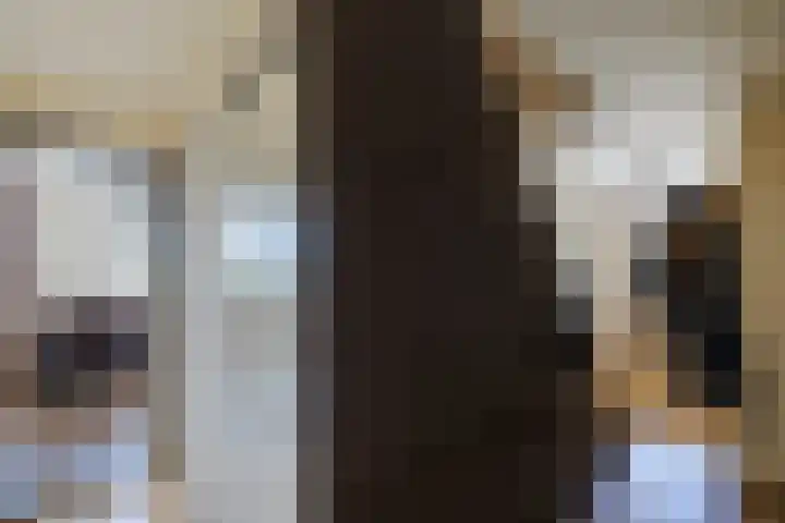 Nieuwe Dijk 4 Zuidwolde thumbnail 15