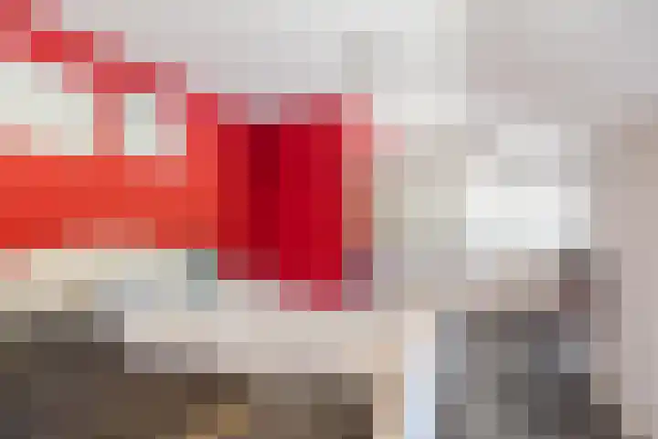 Nieuwe Dijk 4 Zuidwolde thumbnail 17