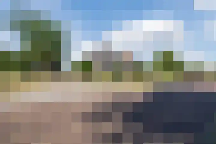 Nieuwe Dijk 4 Zuidwolde foto 2