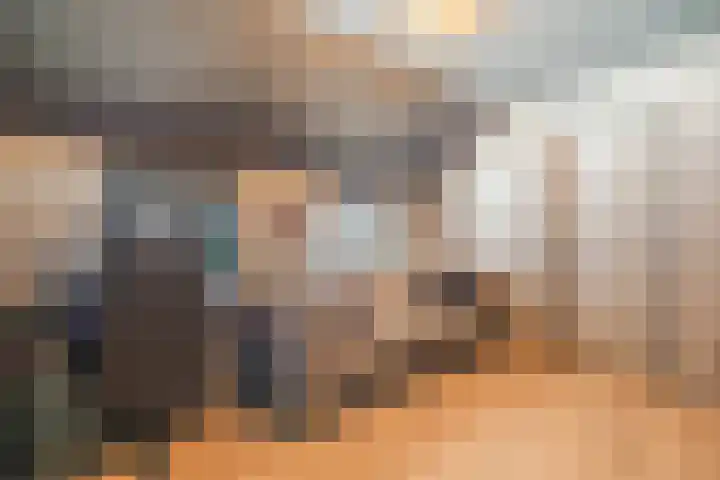 Nieuwe Dijk 4 Zuidwolde thumbnail 22