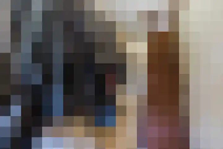 Nieuwe Dijk 4 Zuidwolde thumbnail 24