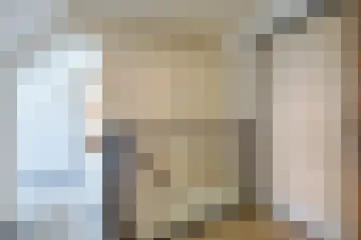Nieuwe Dijk 4 Zuidwolde thumbnail 25