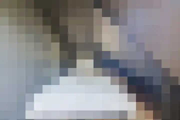 Nieuwe Dijk 4 Zuidwolde thumbnail 28