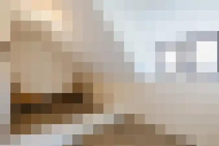 Nieuwe Dijk 4 Zuidwolde thumbnail 31