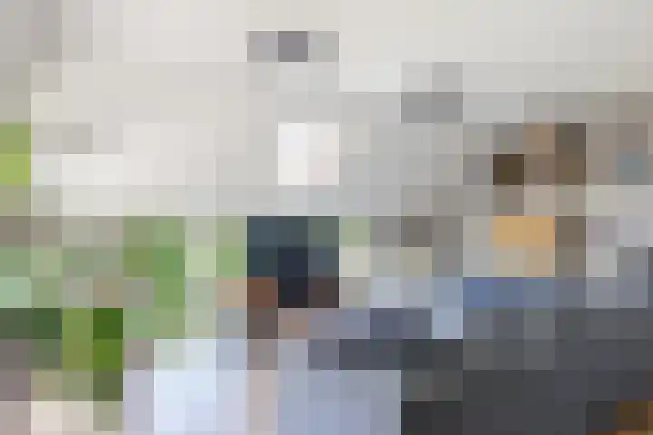 Nieuwe Dijk 4 Zuidwolde thumbnail 37