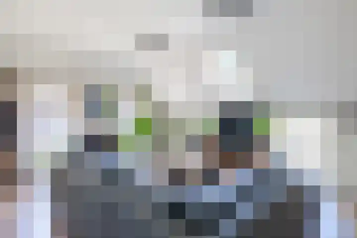 Nieuwe Dijk 4 Zuidwolde thumbnail 38