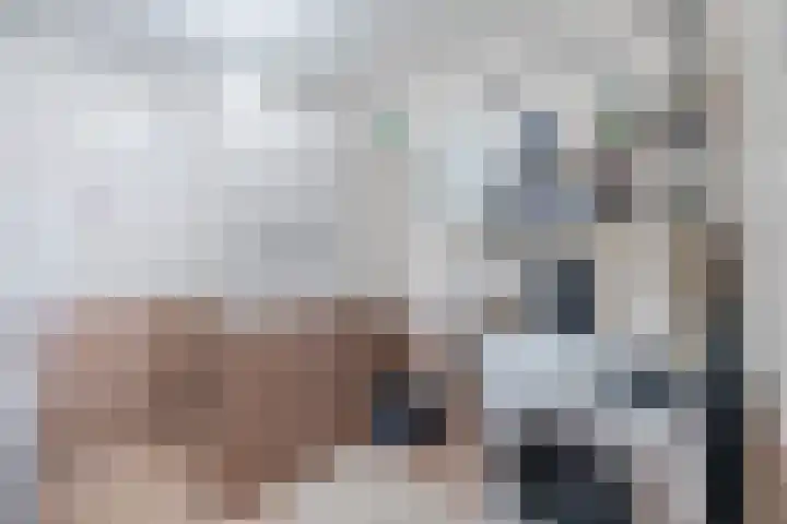 Nieuwe Dijk 4 Zuidwolde thumbnail 42