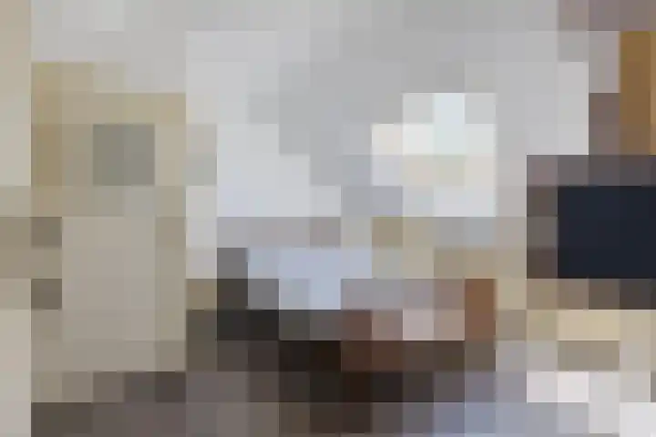 Nieuwe Dijk 4 Zuidwolde thumbnail 46