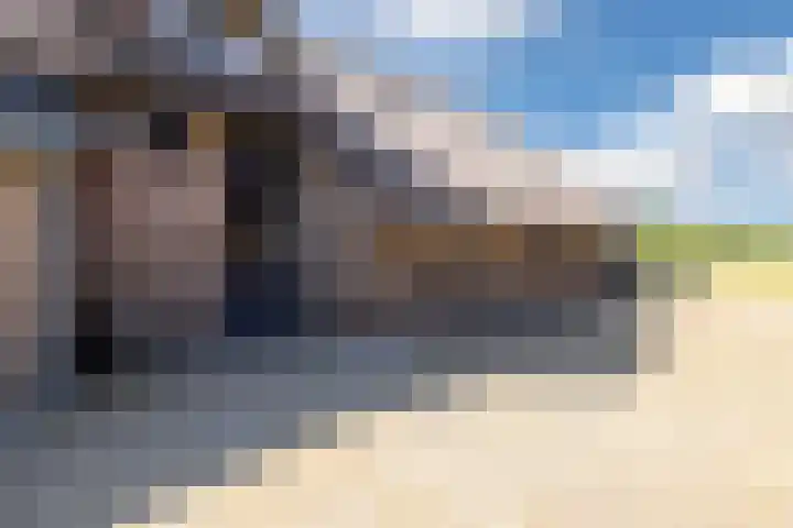 Nieuwe Dijk 4 Zuidwolde thumbnail 49
