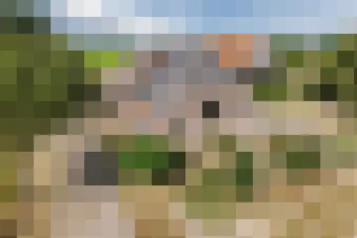 Nieuwe Dijk 4 Zuidwolde thumbnail 5