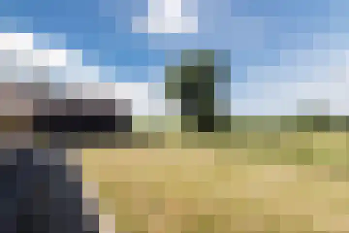 Nieuwe Dijk 4 Zuidwolde thumbnail 50