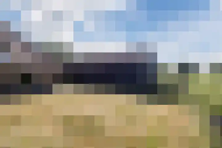 Nieuwe Dijk 4 Zuidwolde thumbnail 51