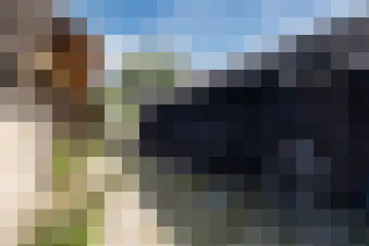 Nieuwe Dijk 4 Zuidwolde thumbnail 52
